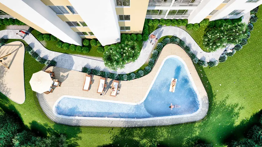 Vista cenital de la piscina de forma orgánica con deck, asoleadoras y jardines